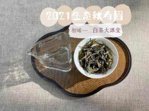 铁观音属于绿茶吗 (精选 2 篇)