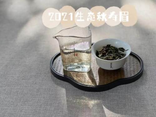 铁观音属于绿茶吗 (精选 2 篇)