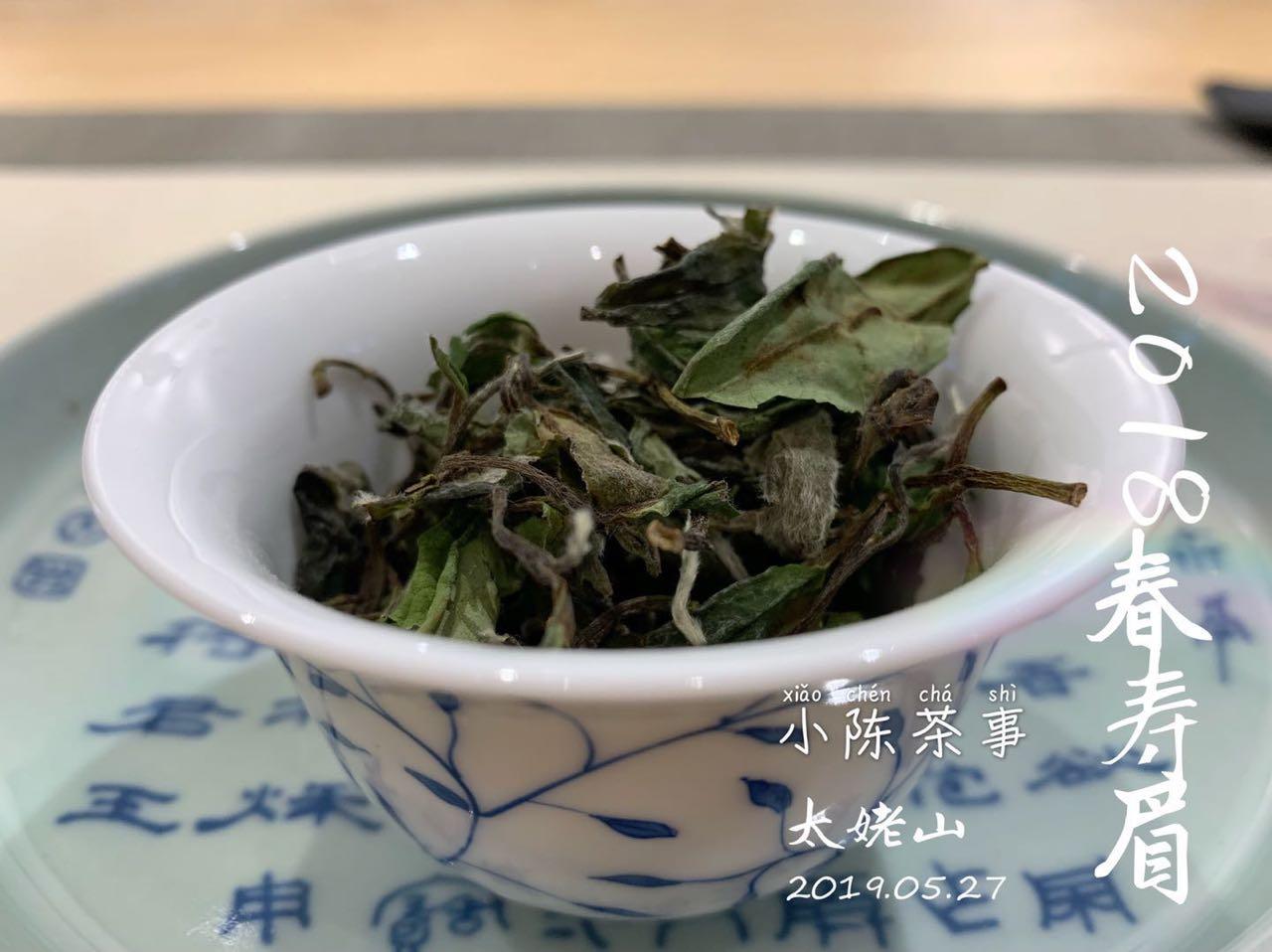 白茶泡多久 (精选 5 篇)