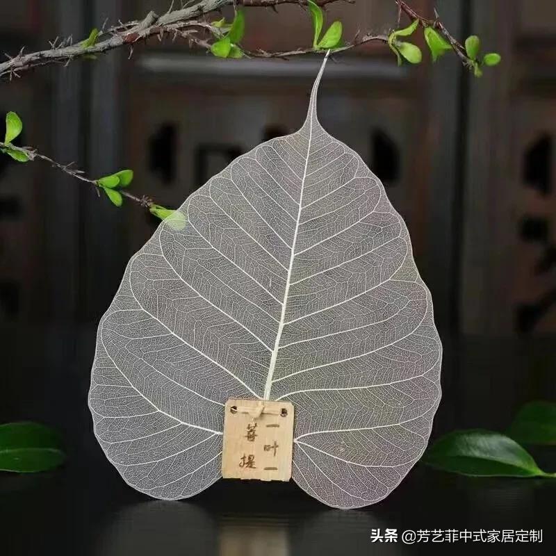 茶具介绍 (精选 5 篇)